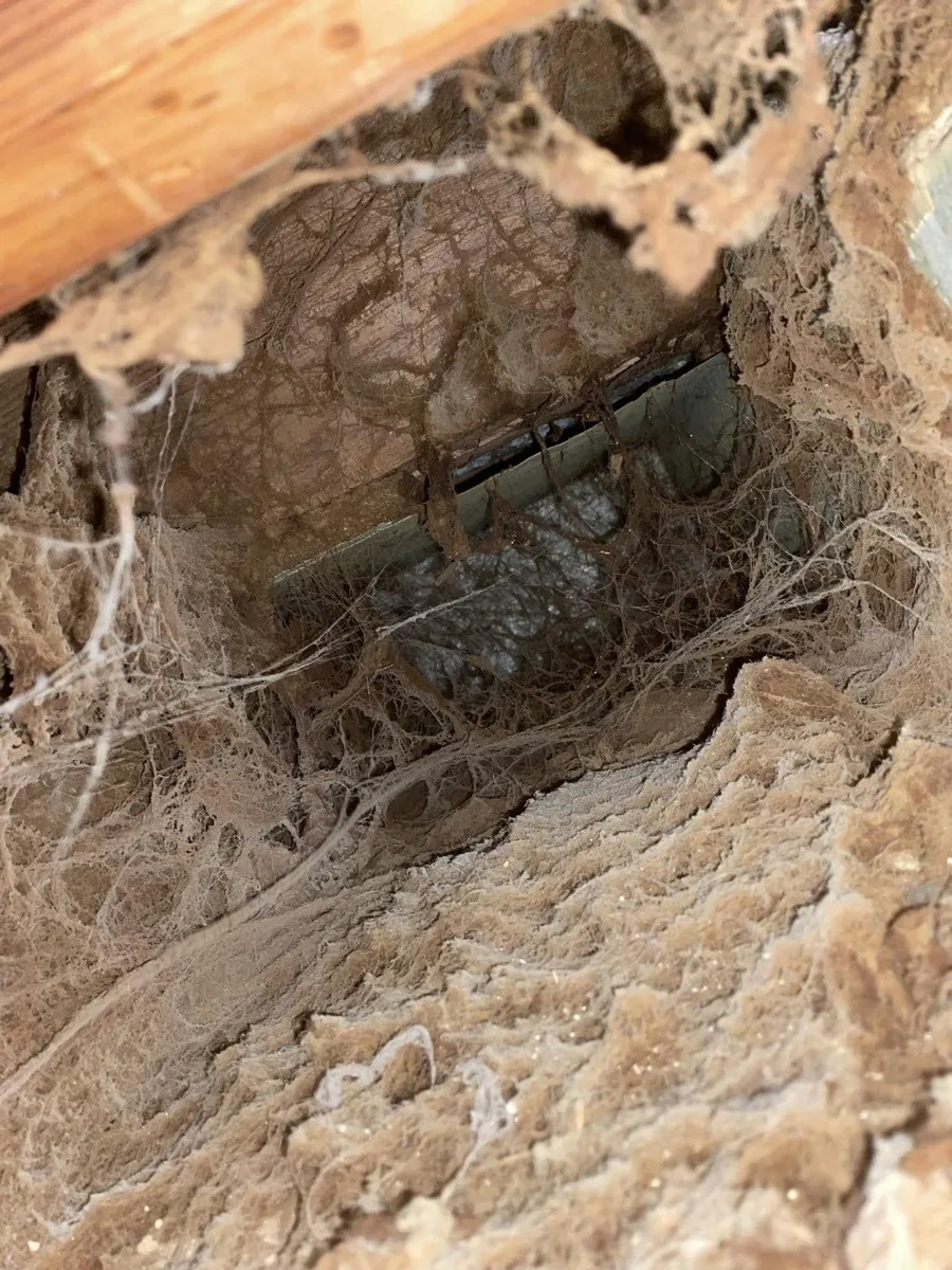 Severely neglected plenum interior packed with decades of dust, cobwebs, and debris — before Four Seasons service