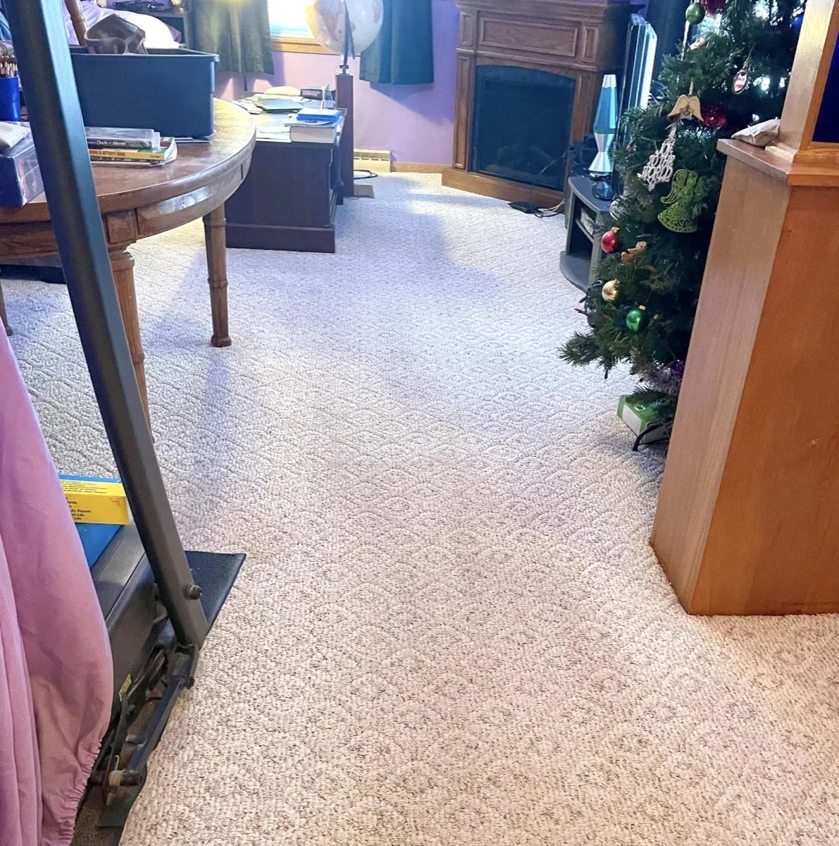 Freshly cleaned carpet showing dramatic before-and-after results