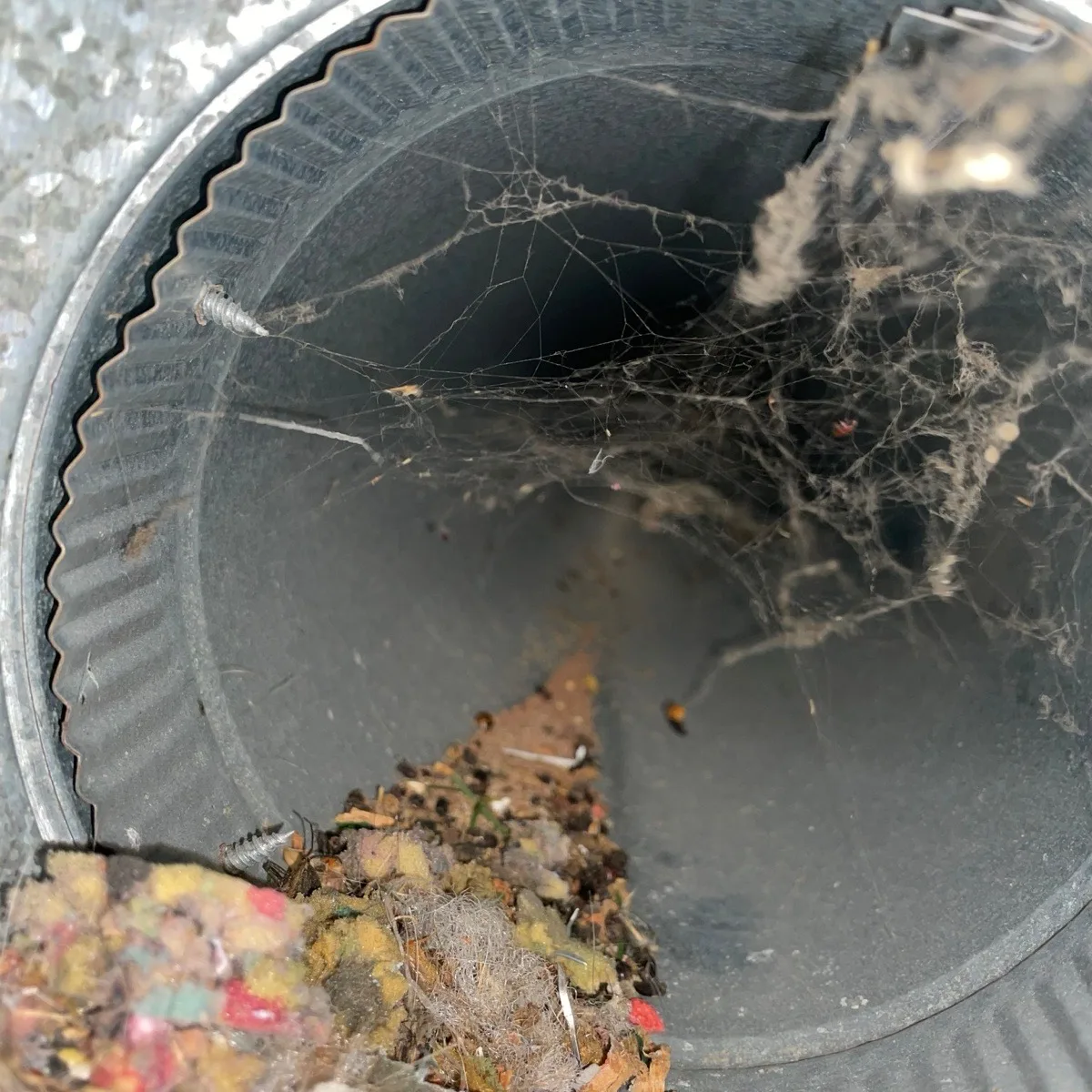 Ductwork pizza — cobwebs, debris, and mystery ingredients found inside a residential duct