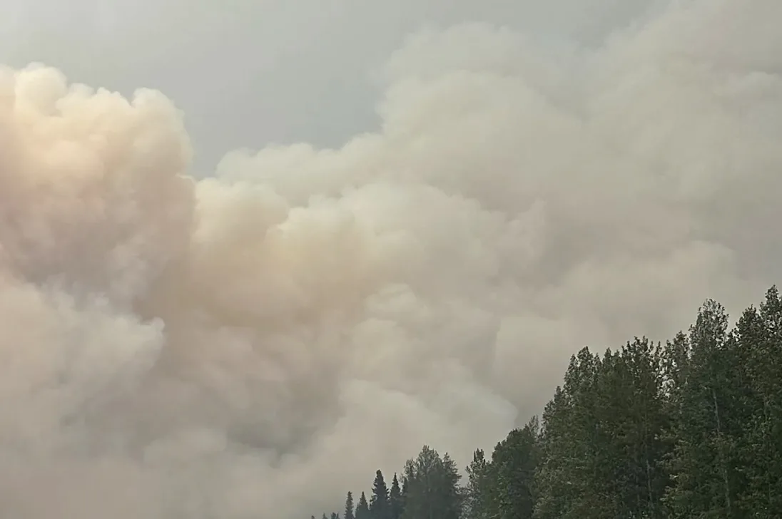 Wildfire smoke over Minnesota treeline